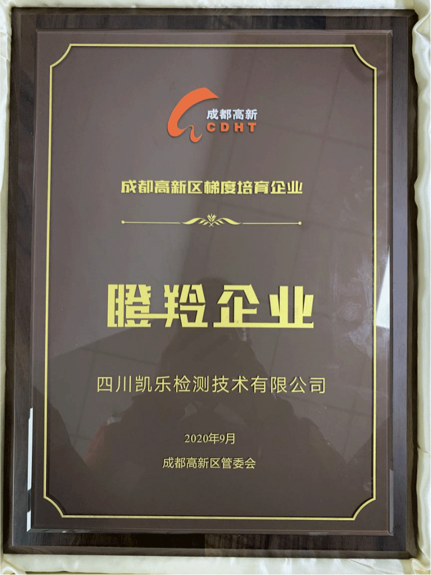 ��ϲӍ������ף�R�Ĵ��P���z�y���g���޹�˾���ɶ����^(q��)��ί���u�顰������I(y��)����