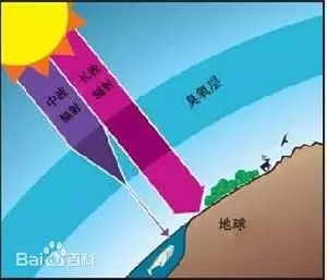 ���P��(l��)�P(gu��n)ע������Ҋ(ji��n)����Ⱦ | ��ĳ�����ȾС����Ո(q��ng)����